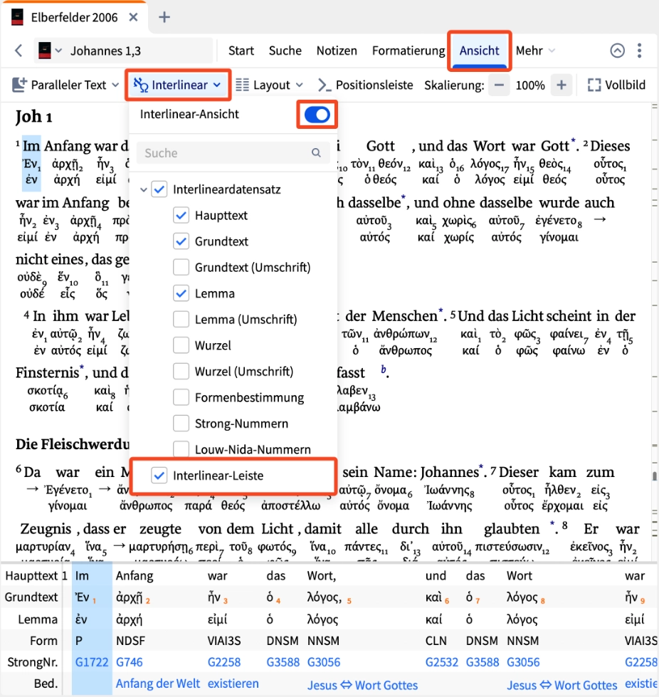 Dynamic Toolbar - Interlinear-options.webp