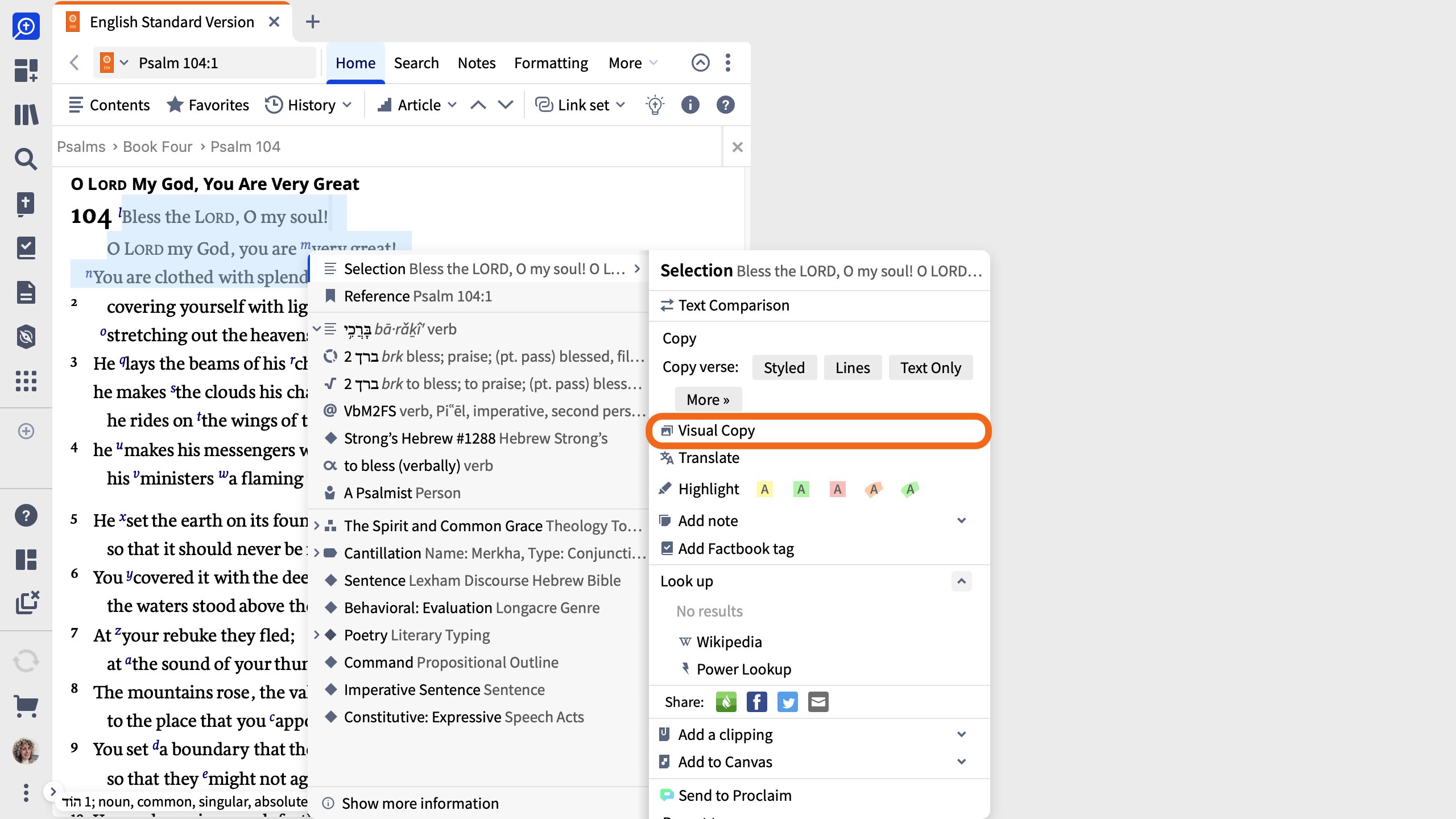 Select Visual Copy From The Context Menu