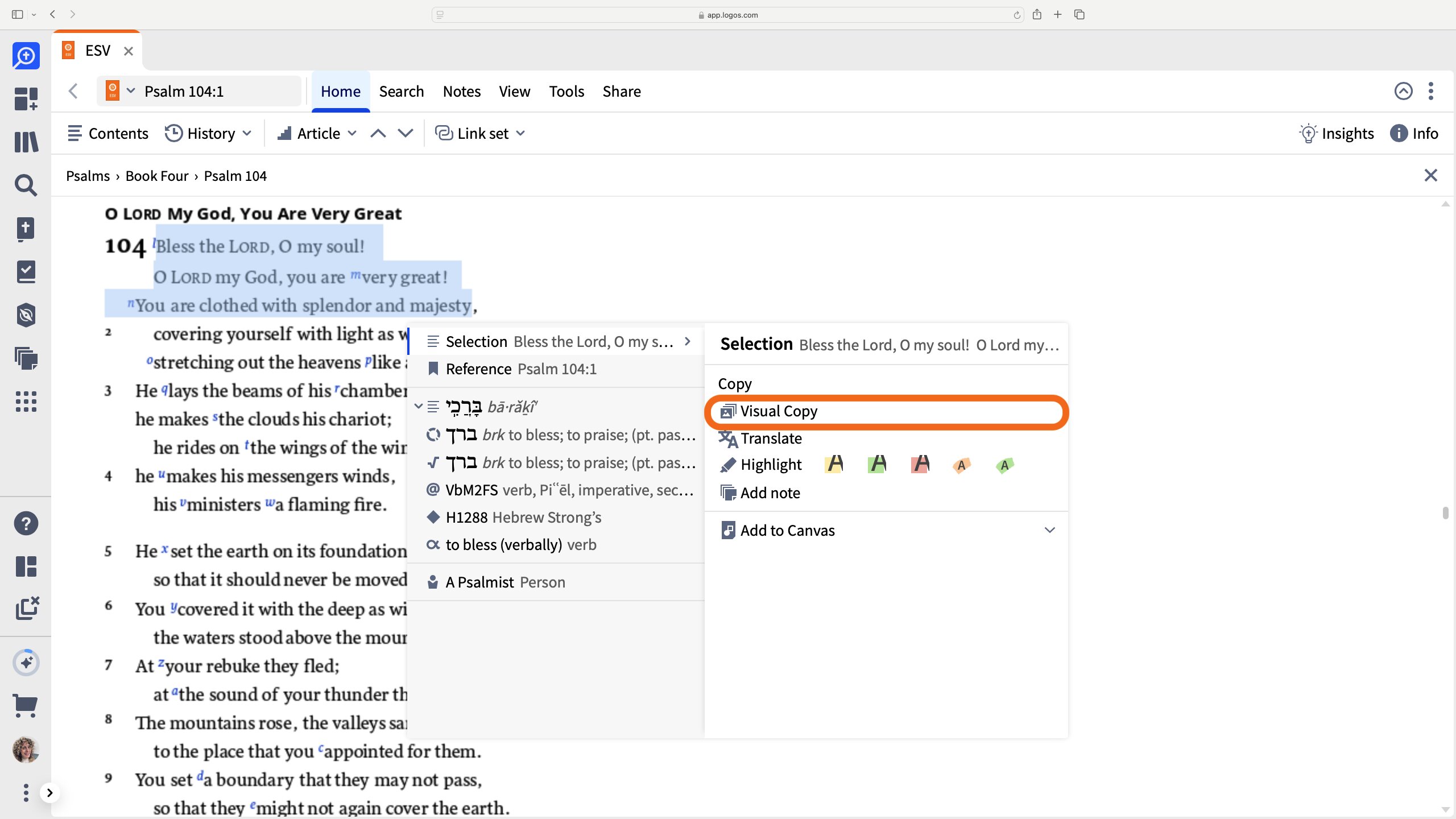 Select Visual Copy From The Context Menu