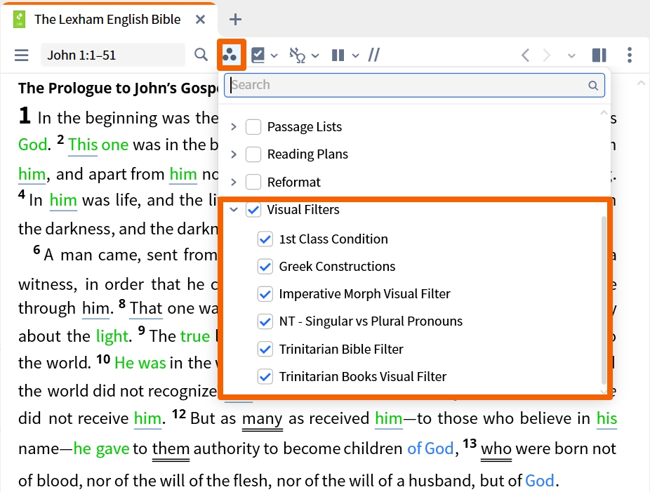 Resource Toolbar - Visual Filters