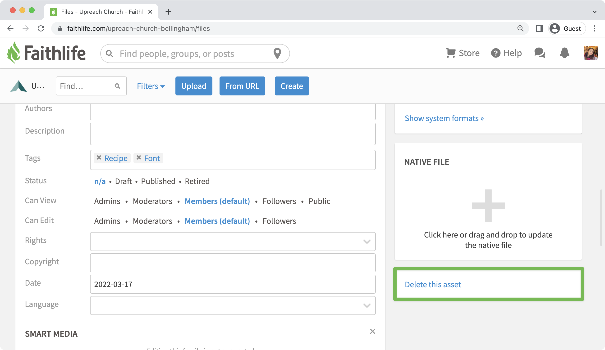 Delete asset from asset details panel