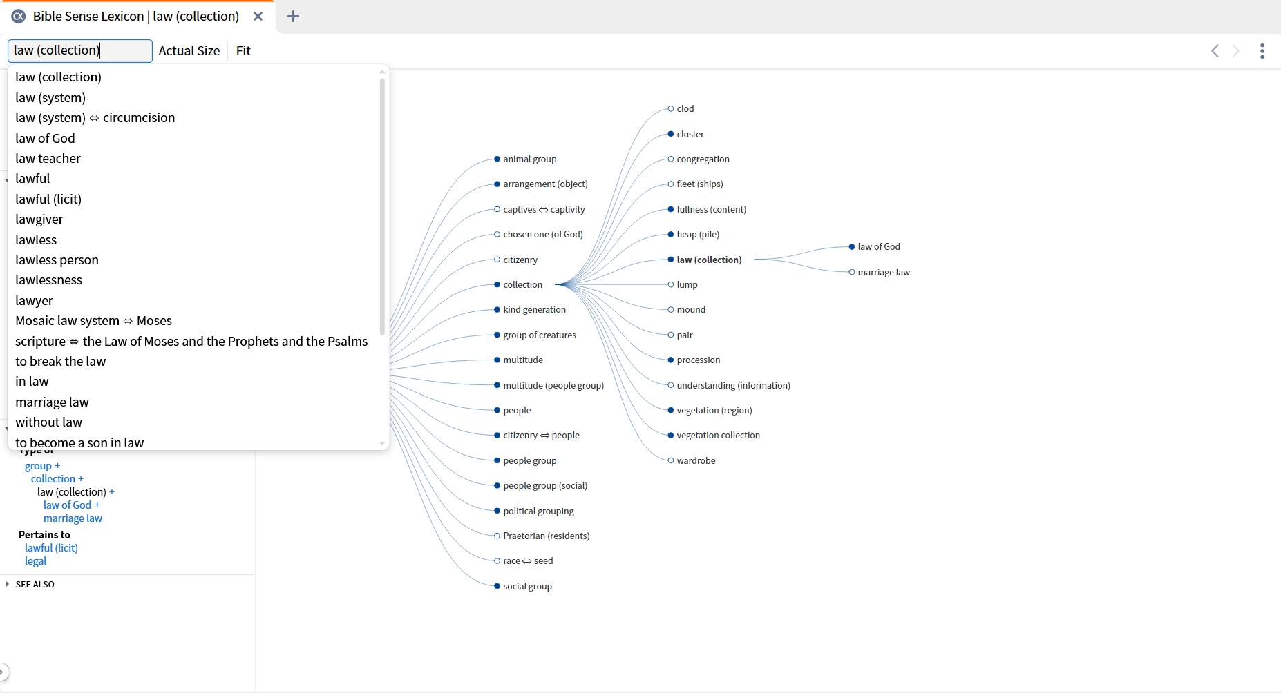 Bible Sense Lexicon Display