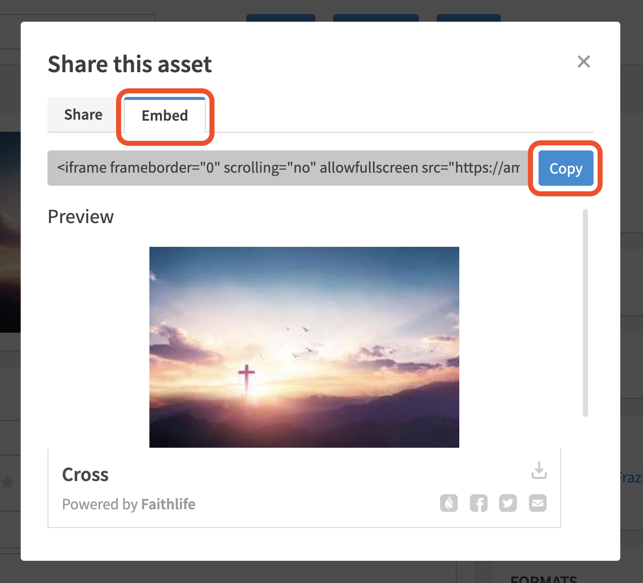 Embed Code
