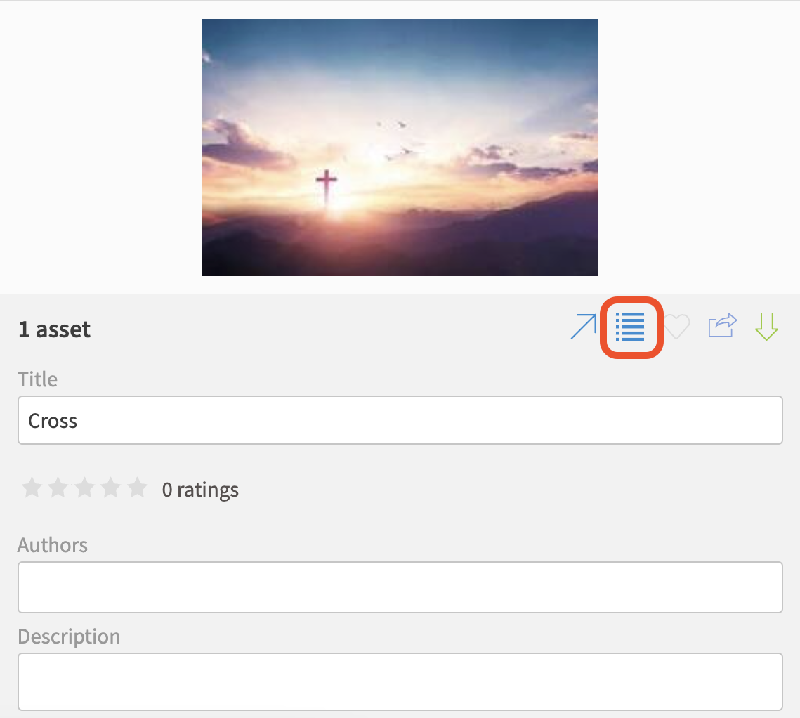 View Asset Details