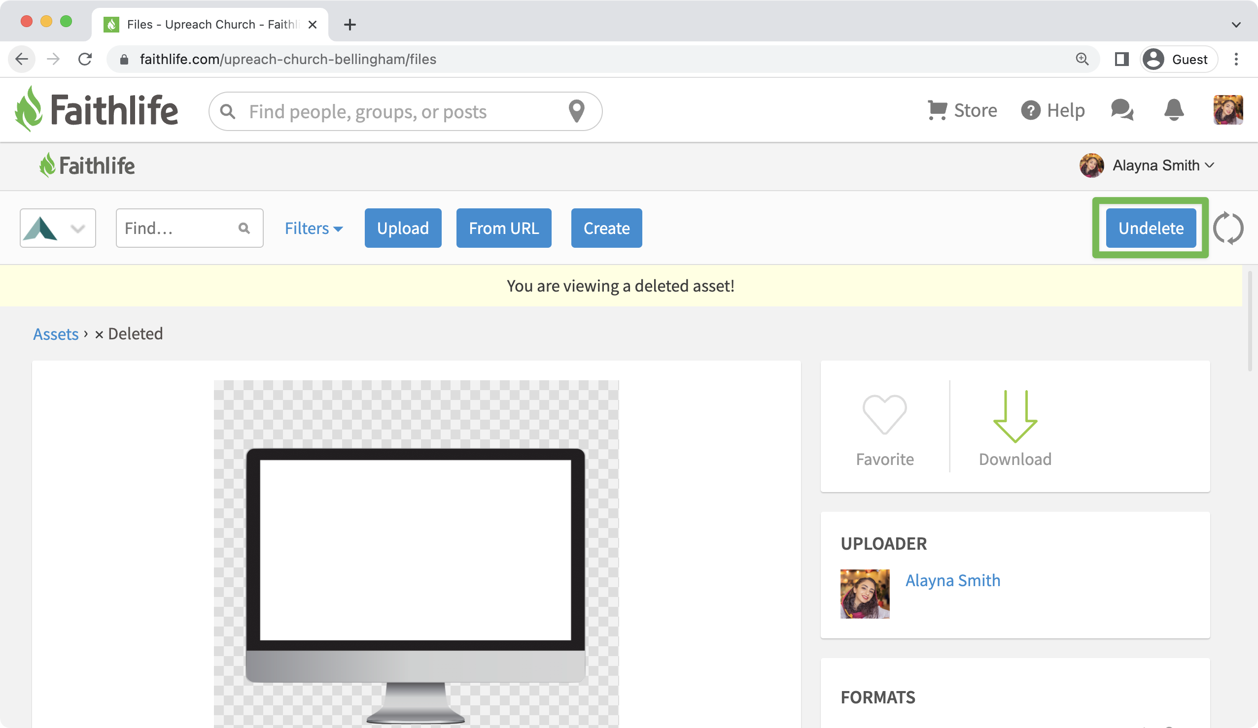 Undelete asset