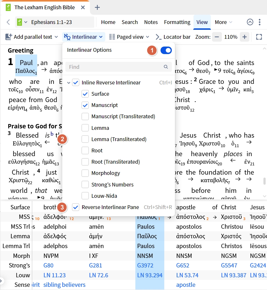 Bible Reverse Interlinear Options