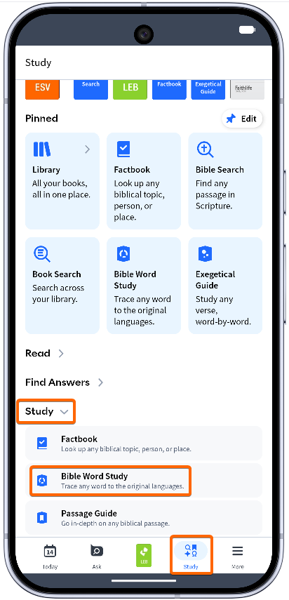 Tap Study menu - Expand Study - select Bible Word Study
