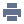 Print icon