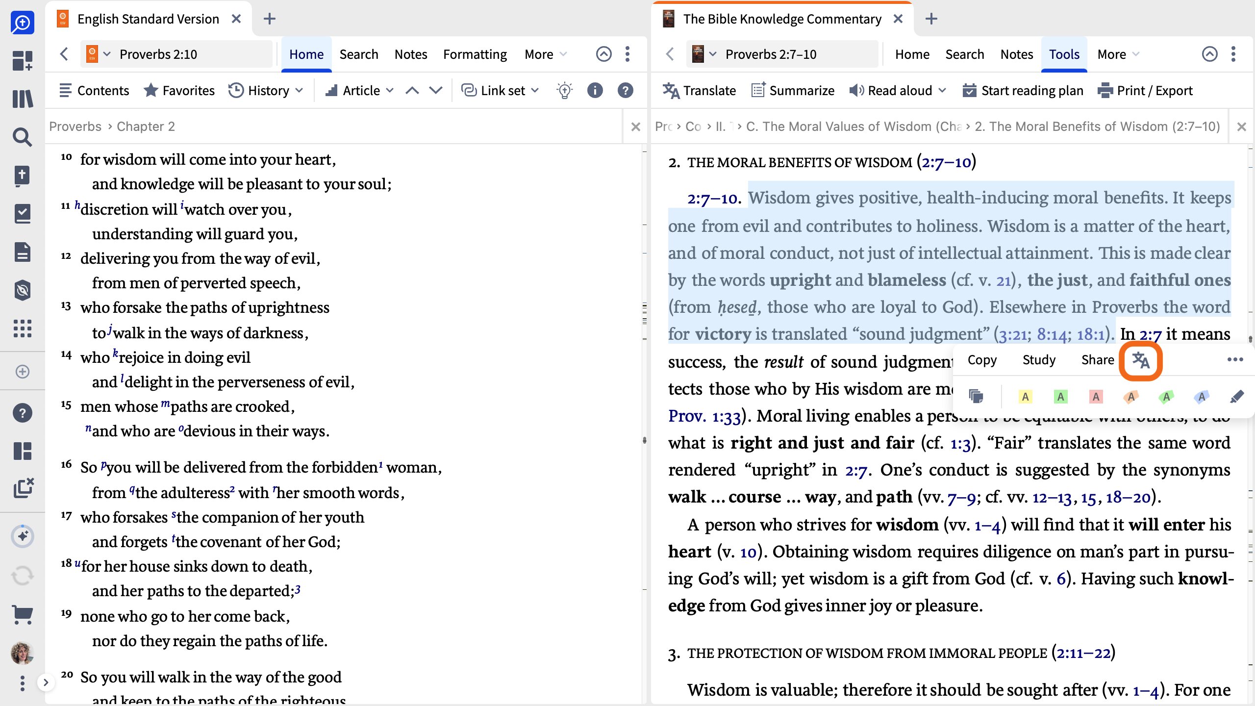 Select text and click the Translate icon from the Selection Menu
