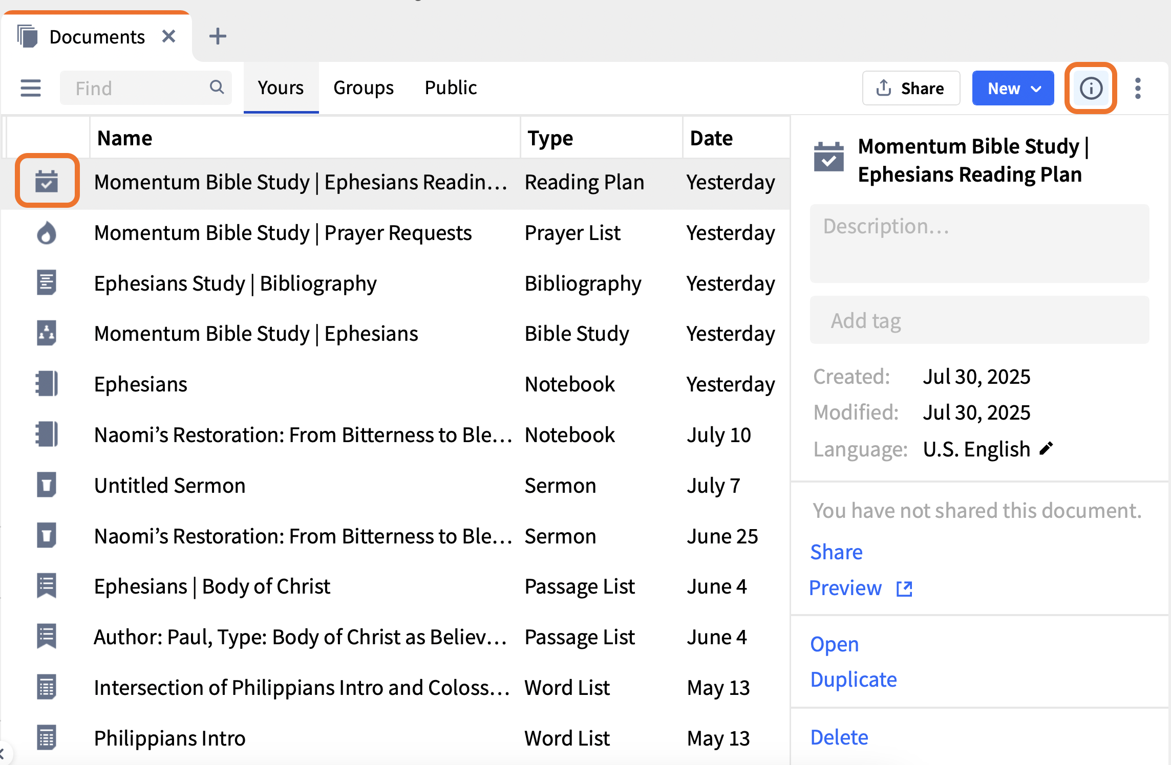 7 Info Pane